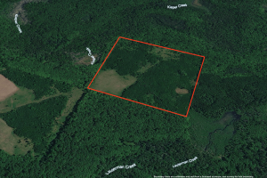 5194 Forest Rd 2154, , Florence,  WI 54121 United States