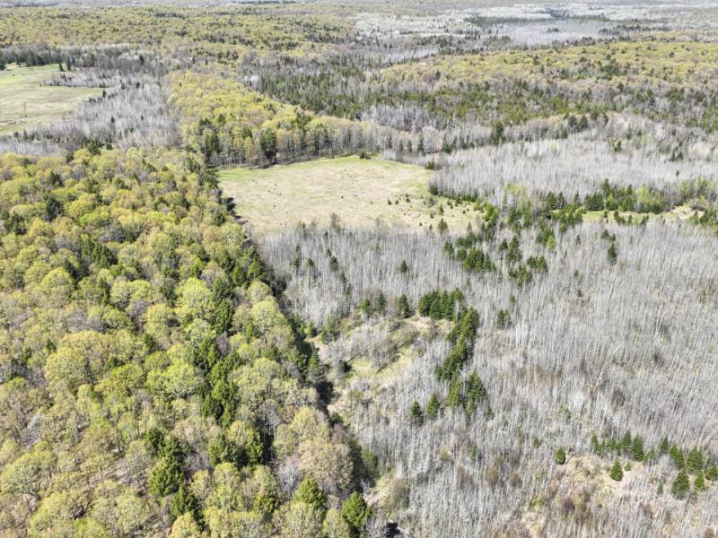 5194 Forest Rd 2154, , Florence,  WI 54121 United States
