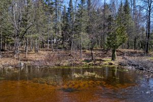 5364 River Run Ln, , Boulder Junction,  WI 54512