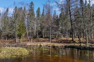 5364 River Run Ln, , Boulder Junction,  WI 54512