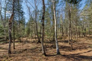 5364 River Run Ln, , Boulder Junction,  WI 54512