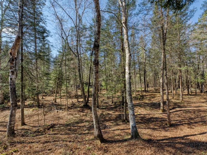 5364 River Run Ln, , Boulder Junction,  WI 54512