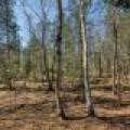 5364 River Run Ln, , Boulder Junction,  WI 54512