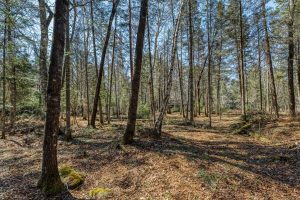 5364 River Run Ln, , Boulder Junction,  WI 54512