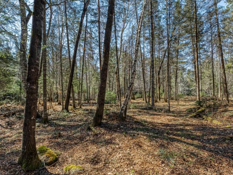5364 River Run Ln, , Boulder Junction,  WI 54512