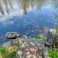 5856 River Rd, , Cloverland,  WI 54521