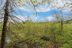 611 Dyer Farm Rd, , Eagle River,  WI 54521