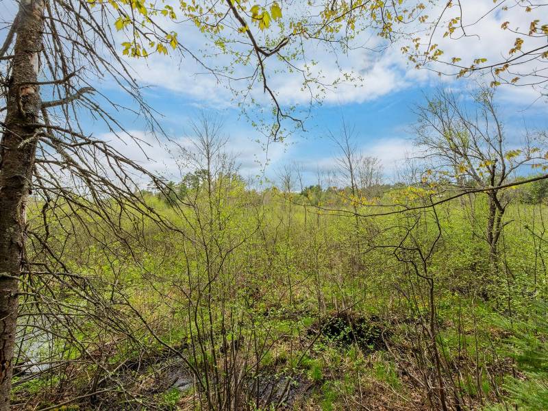 611 Dyer Farm Rd, , Eagle River,  WI 54521