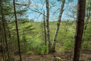611 Dyer Farm Rd, , Eagle River,  WI 54521