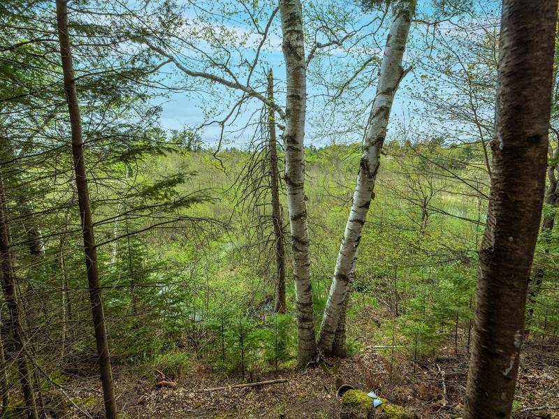 611 Dyer Farm Rd, , Eagle River,  WI 54521