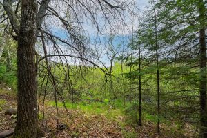 611 Dyer Farm Rd, , Eagle River,  WI 54521