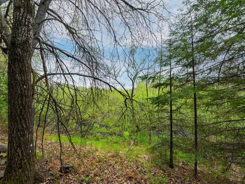 611 Dyer Farm Rd, , Eagle River,  WI 54521