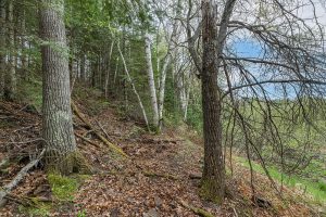 611 Dyer Farm Rd, , Eagle River,  WI 54521