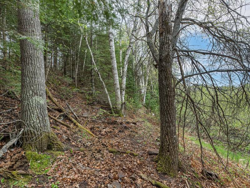 611 Dyer Farm Rd, , Eagle River,  WI 54521