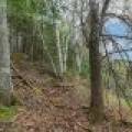 611 Dyer Farm Rd, , Eagle River,  WI 54521