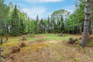 611 Dyer Farm Rd, , Eagle River,  WI 54521
