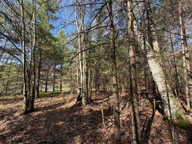 7245 Riverview Dr, Newbold, Rhinelander,  WI 54501 United States