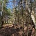 7245 Riverview Dr, Newbold, Rhinelander,  WI 54501 United States