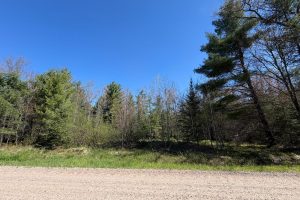 7245 Riverview Dr, Newbold, Rhinelander,  WI 54501 United States