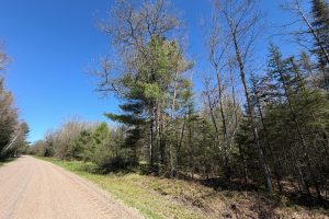 7245 Riverview Dr, Newbold, Rhinelander,  WI 54501 United States