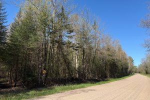 7245 Riverview Dr, Newbold, Rhinelander,  WI 54501 United States
