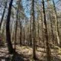 7245 Riverview Dr, Newbold, Rhinelander,  WI 54501 United States
