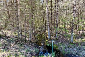 7245 Riverview Dr, Newbold, Rhinelander,  WI 54501 United States