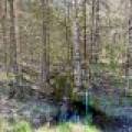 7245 Riverview Dr, Newbold, Rhinelander,  WI 54501 United States