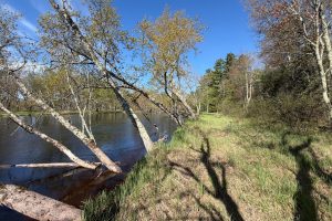 7245 Riverview Dr, Newbold, Rhinelander,  WI 54501 United States