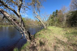 7245 Riverview Dr, Newbold, Rhinelander,  WI 54501 United States