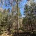 7245 Riverview Dr, Newbold, Rhinelander,  WI 54501 United States