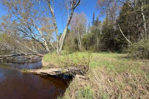 7245 Riverview Dr, Newbold, Rhinelander,  WI 54501 United States