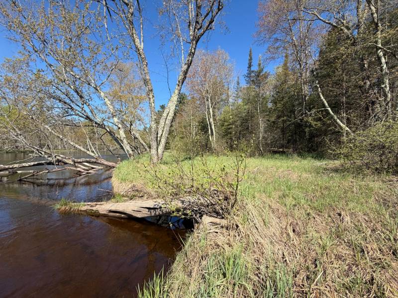 7245 Riverview Dr, Newbold, Rhinelander,  WI 54501 United States