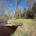 7245 Riverview Dr, Newbold, Rhinelander,  WI 54501 United States