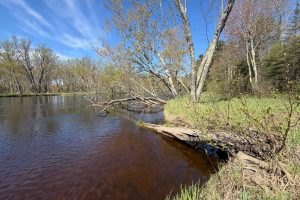 7245 Riverview Dr, Newbold, Rhinelander,  WI 54501 United States