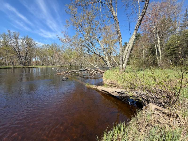 7245 Riverview Dr, Newbold, Rhinelander,  WI 54501 United States