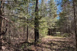 7245 Riverview Dr, Newbold, Rhinelander,  WI 54501 United States