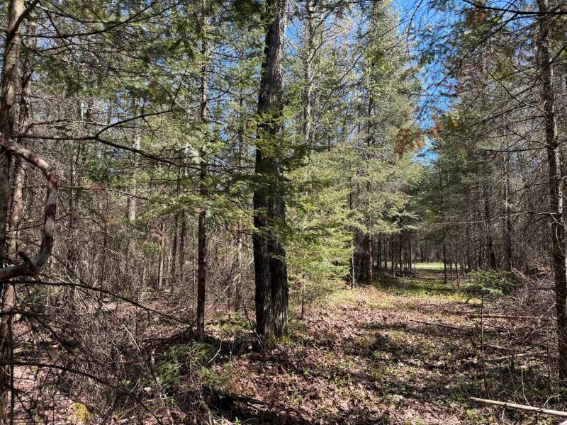 7245 Riverview Dr, Newbold, Rhinelander,  WI 54501 United States