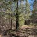 7245 Riverview Dr, Newbold, Rhinelander,  WI 54501 United States