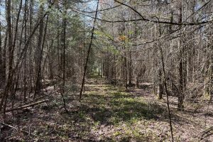 7245 Riverview Dr, Newbold, Rhinelander,  WI 54501 United States