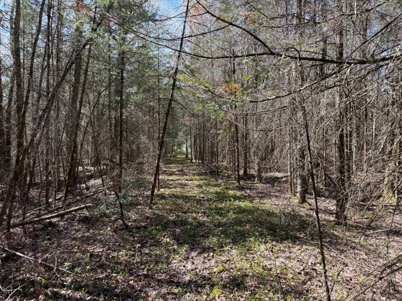 7245 Riverview Dr, Newbold, Rhinelander,  WI 54501 United States