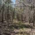 7245 Riverview Dr, Newbold, Rhinelander,  WI 54501 United States