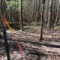 7245 Riverview Dr, Newbold, Rhinelander,  WI 54501 United States