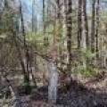 7245 Riverview Dr, Newbold, Rhinelander,  WI 54501 United States