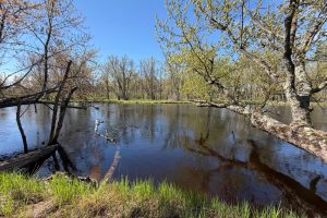 7245 Riverview Dr, Newbold, Rhinelander,  WI 54501 United States