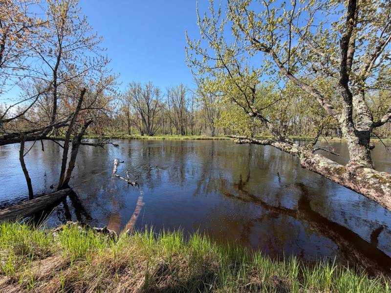 7245 Riverview Dr, Newbold, Rhinelander,  WI 54501 United States