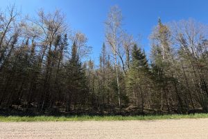 7245 Riverview Dr, Newbold, Rhinelander,  WI 54501 United States
