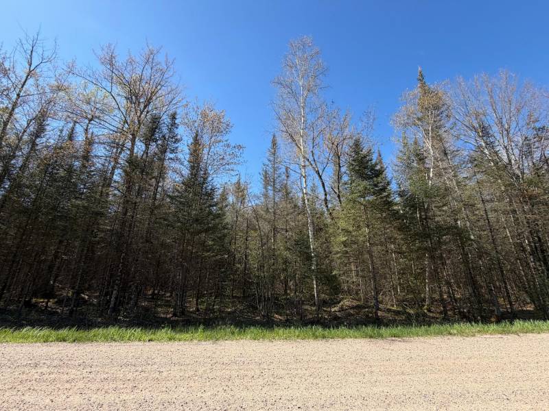 7245 Riverview Dr, Newbold, Rhinelander,  WI 54501 United States
