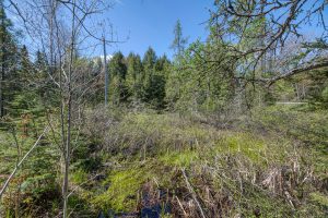 7421 CTH B, , Land O Lakes,  WI 54540