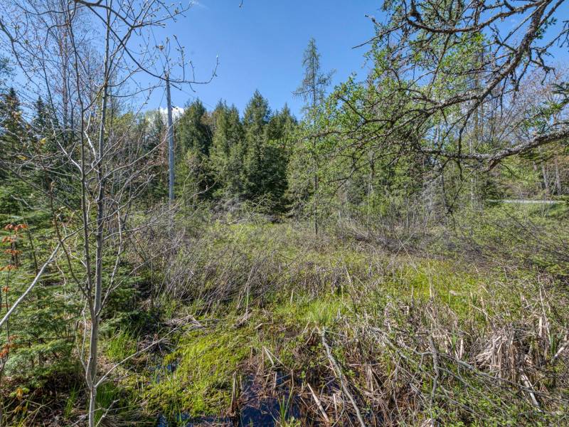 7421 CTH B, , Land O Lakes,  WI 54540